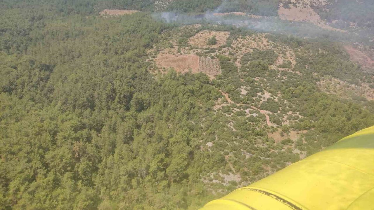 Muğla’da orman yangını kontrol altına alındı