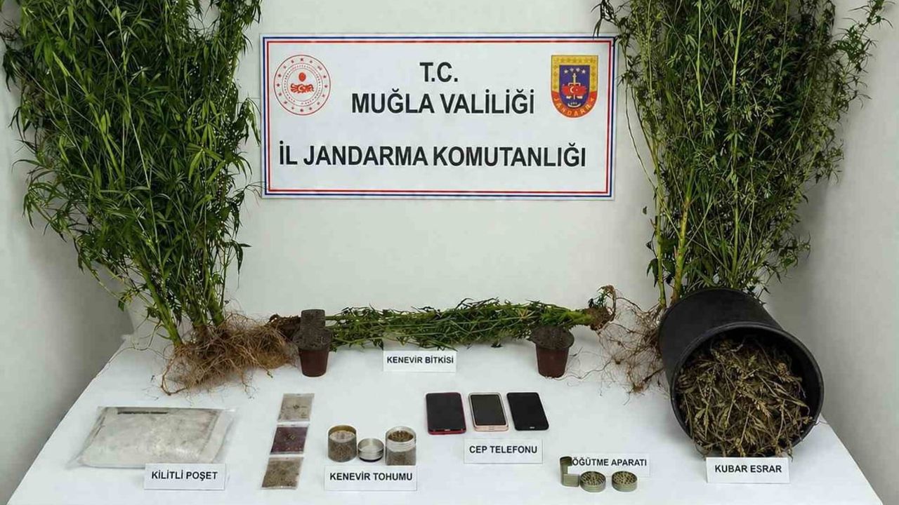 Muğla'da temmuz operasyonları sonuç verdi: 174 gözaltı, 33 tutuklama