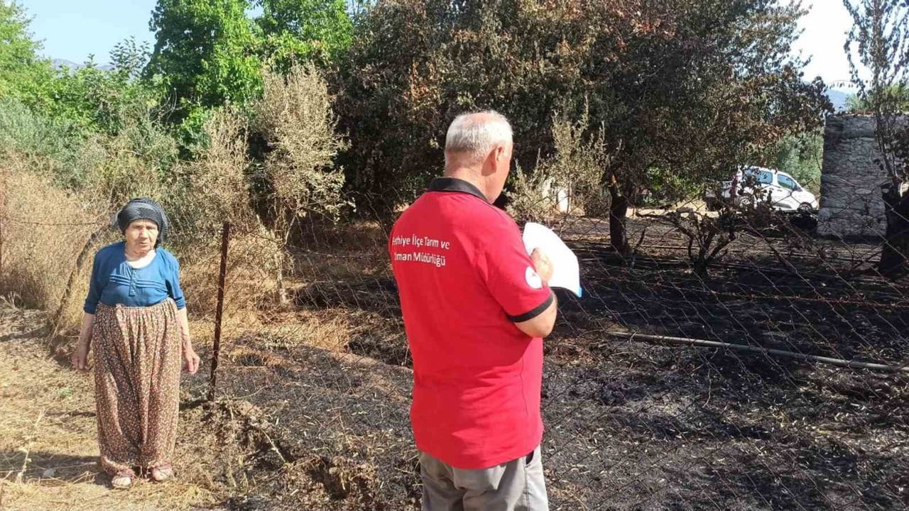 Muğla'da yangın sonrası tarım ve hayvancılıkta hasar tespit çalışmaları sürüyor