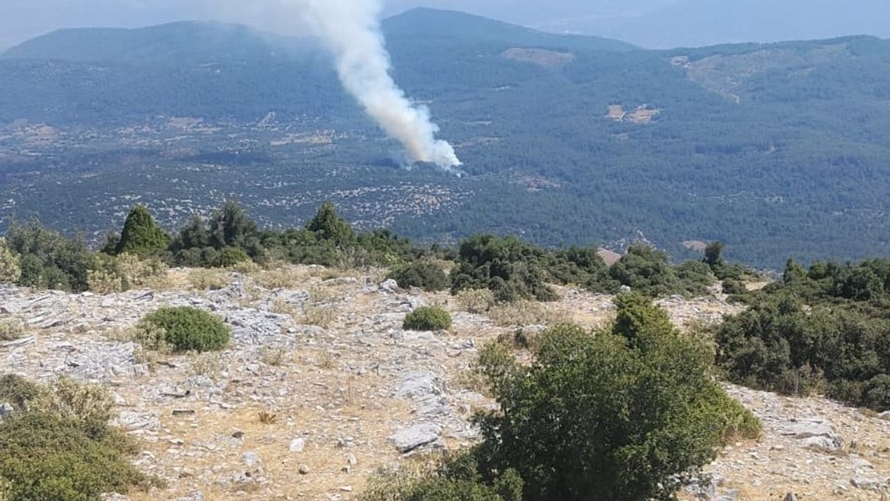 Muğla Menteşe'deki makilik yangınına havadan ve karadan müdahale