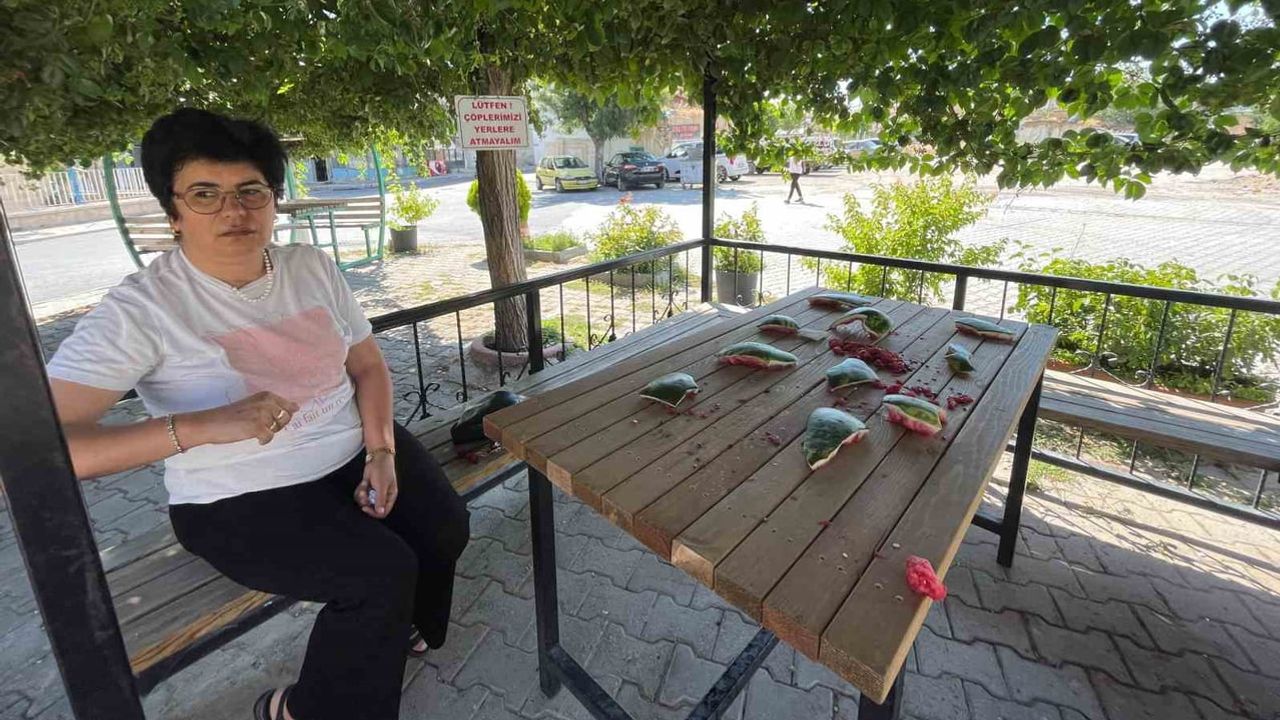 Muhtarlığın önündeki kamelyada karpuz kabukları muhtarın tepkisini çekti