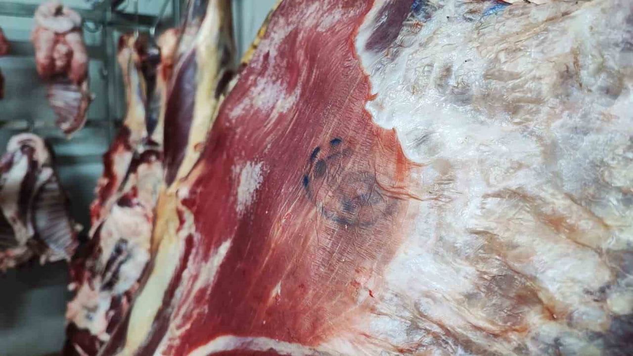 Mühürsüz et alarmı: Adana'da kaçak kesim endişesi