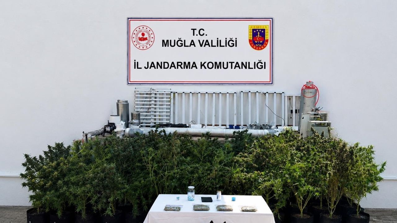 Mumcular Mahallesi'nde jandarmadan operasyon: evde 56 kök kenevir ve 10 kg skunk ele geçirildi