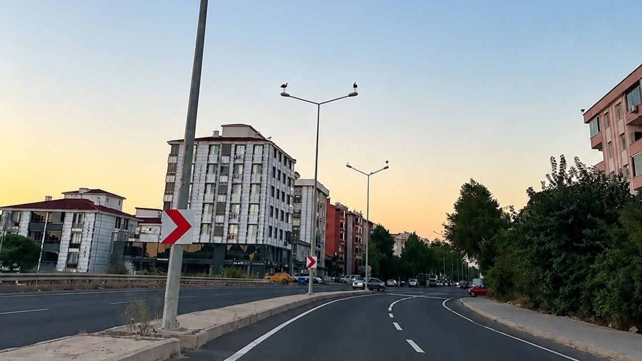 Muratlı'da göç molası: leyleklerin direklerde oluşturduğu manzara