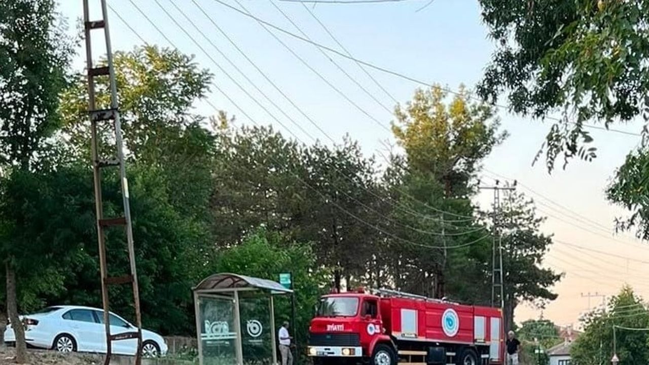 Muratlı'da otobüs durağına yakın çıkan alevler yerleşime sıçramadan söndürüldü