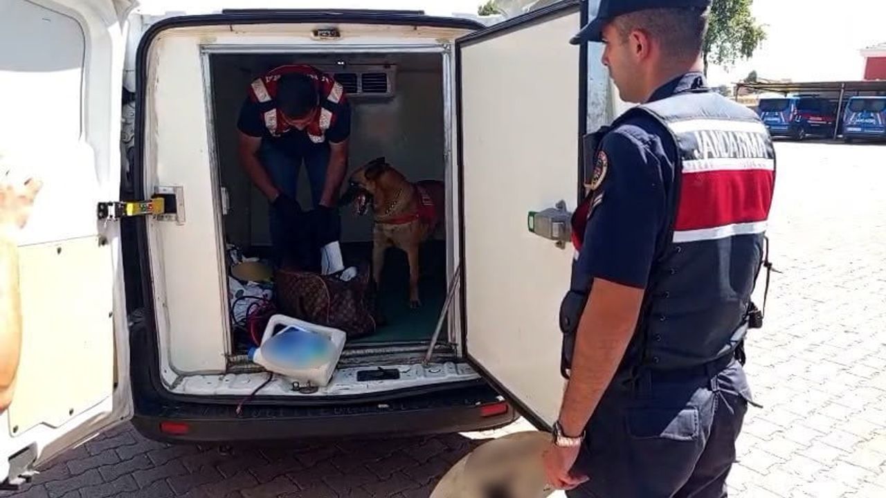 narkotik köpeği zırh avanos'taki uyuşturucu sevkiyatını engelledi