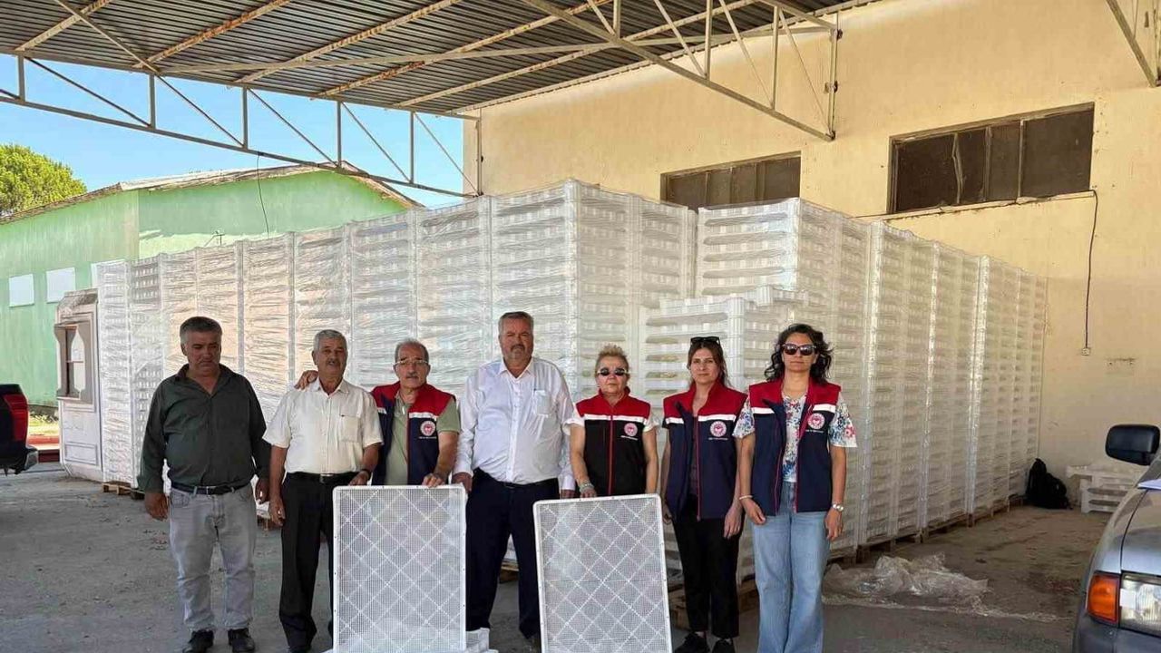 Nazilli’de 2 bin 400 incir kerevetiyle hijyen ve gelir hedefi