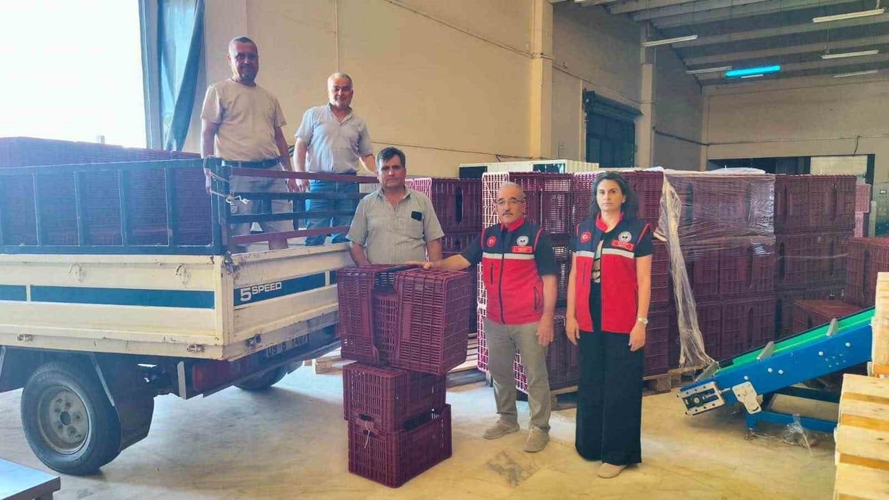 Nazilli'de incir üretimine pratik depolama desteği