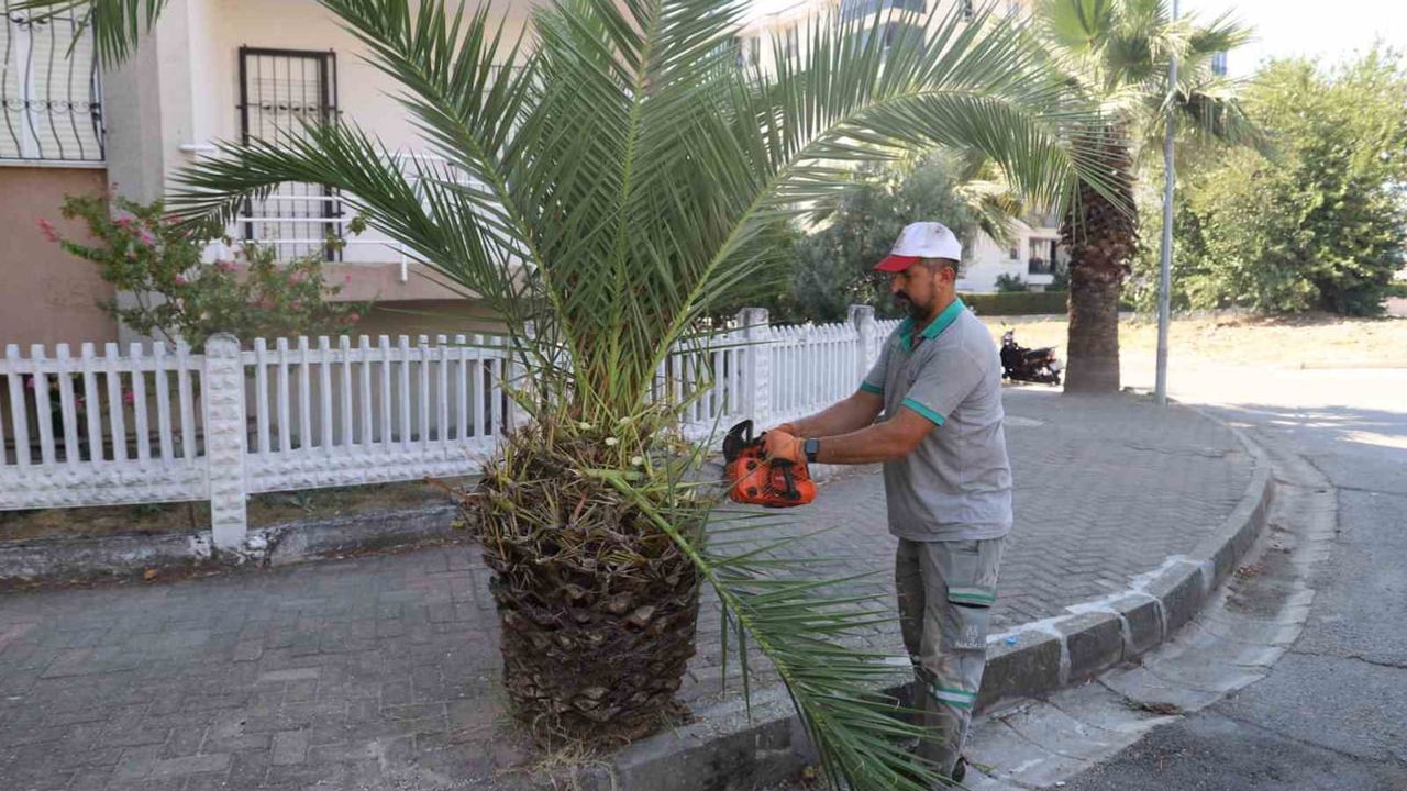 Nazilli'de yeşil alanlarda sonbahar hazırlıkları başladı