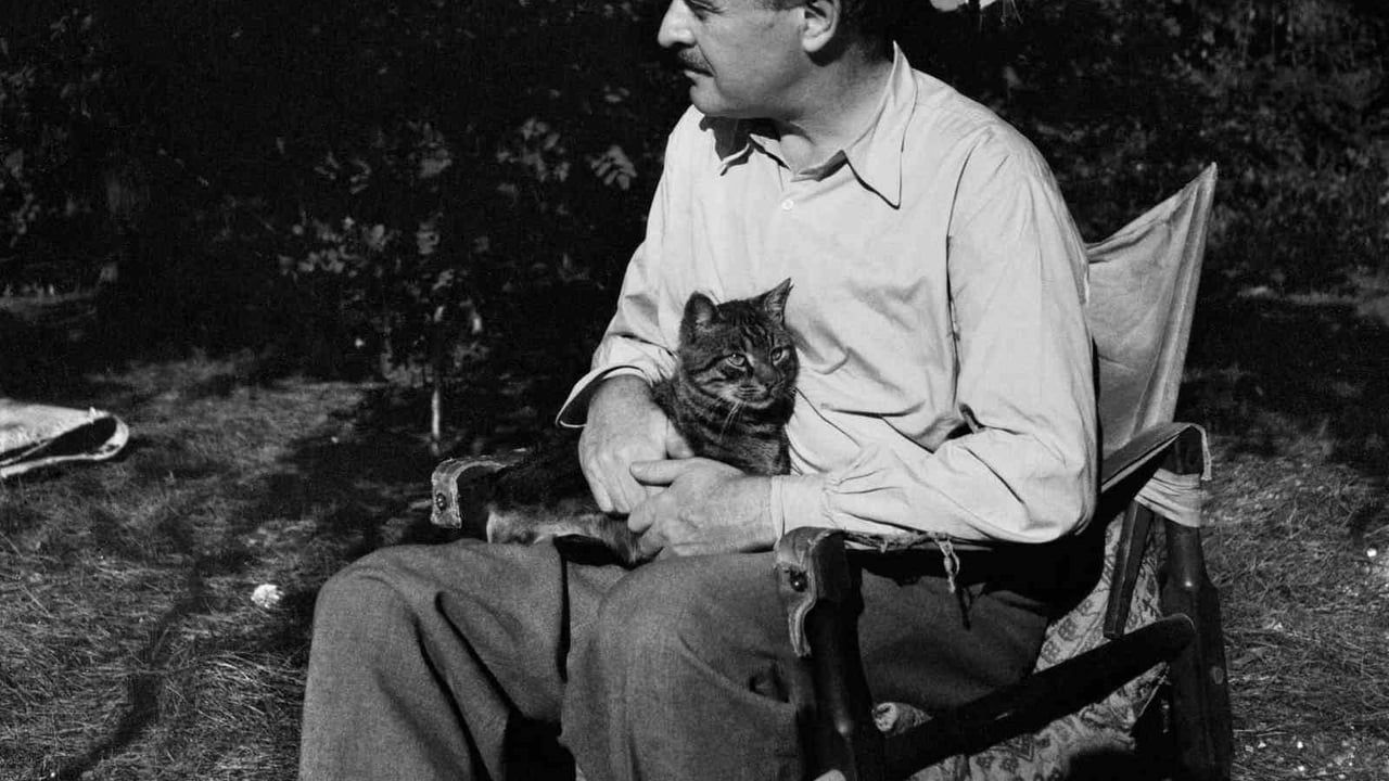 Nazım Hikmet'in yaşamına çok katmanlı bir sergiyle yolculuk