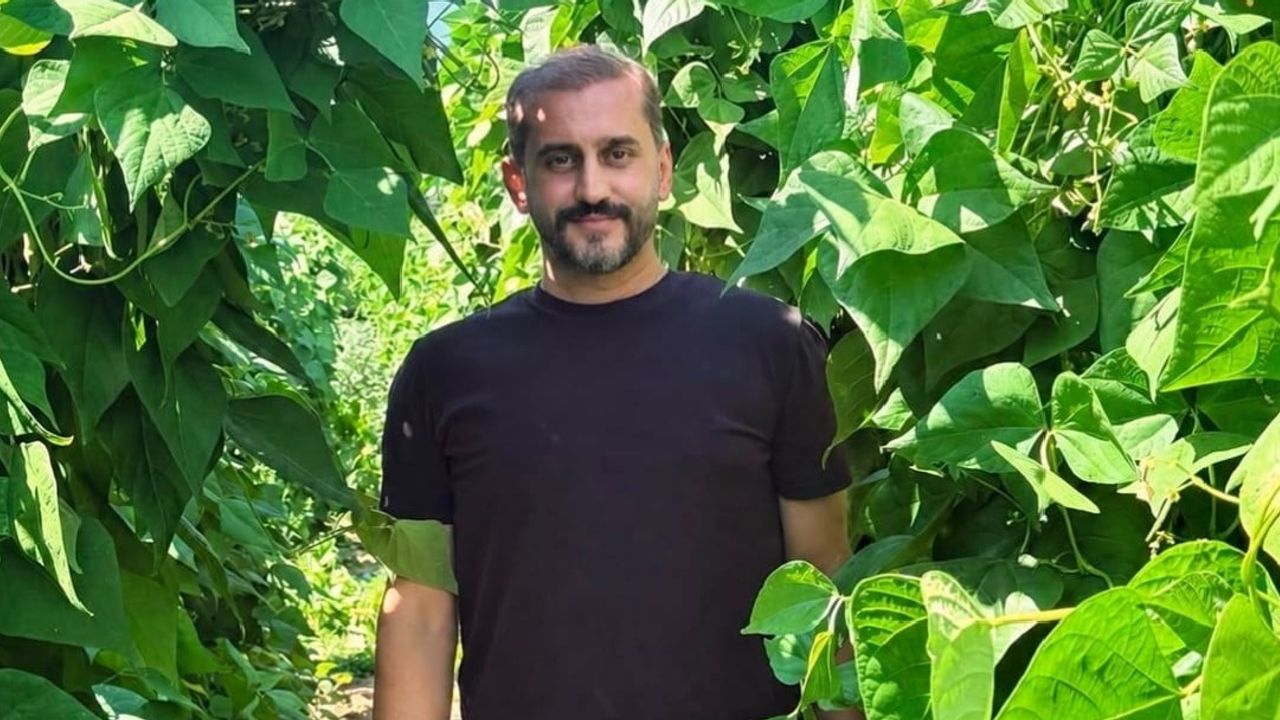 Nebiyan'da 15 bin sırıkta fasulye bereketi: hasada gün sayılıyor