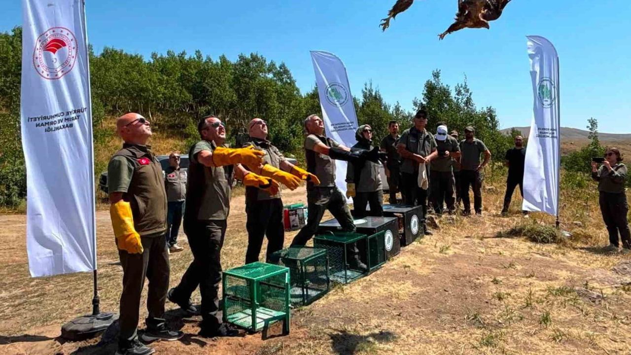 Nemrut Kalderası'nda iyileşen beş yaban hayvanı doğal yaşamına uğurlandı