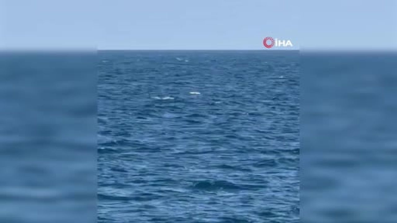 Neptun Deep yakınlarında sürüklenen iki Gerbera tipi iha kontrollü şekilde imha edildi
