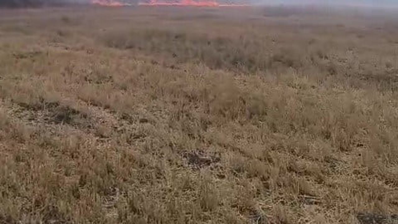 Nilüfer'de ot yangını tarım arazilerini tehdit etti, ekipler havadan ve karadan müdahale ediyor