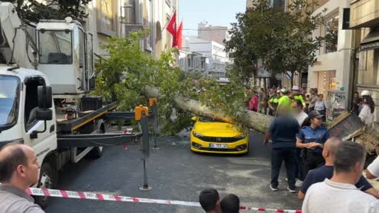 Nişantaşı’nda devrilen çınar polis ve itfaiyeyi alarma geçirdi
