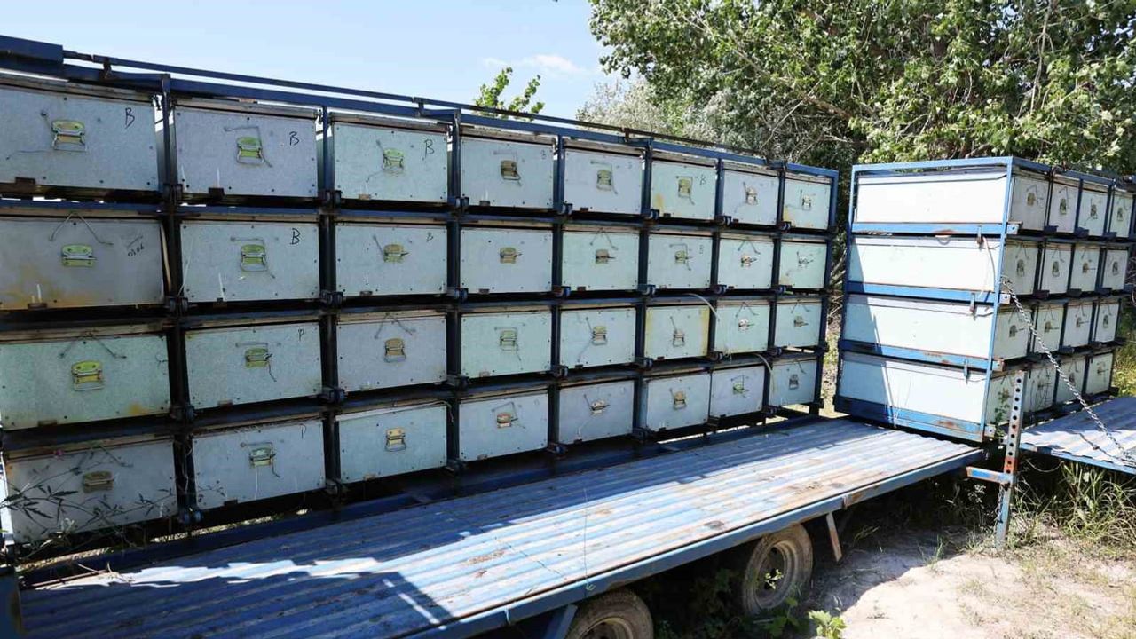 NÖHÜ'de kampüs arıcılığı büyüyor: 200'ün üzerinde kovandan 3 tona yakın bal