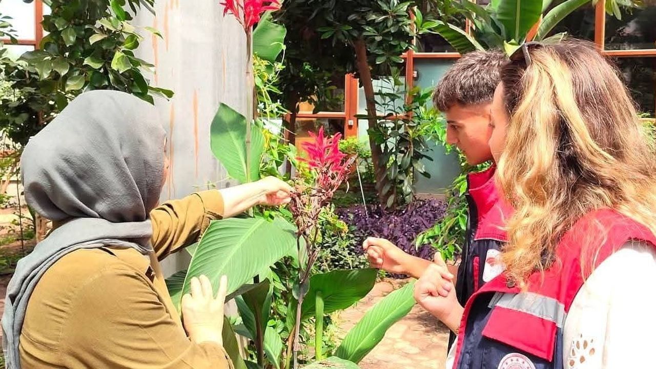 Öğrenciler tıbbi ve aromatik bitkiler merkezinde uygulamayı yerinde inceledi