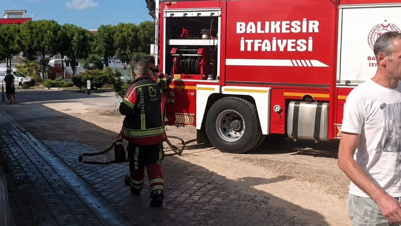 Okul bahçesinde panik: havai fişek çam ağacını yaktı