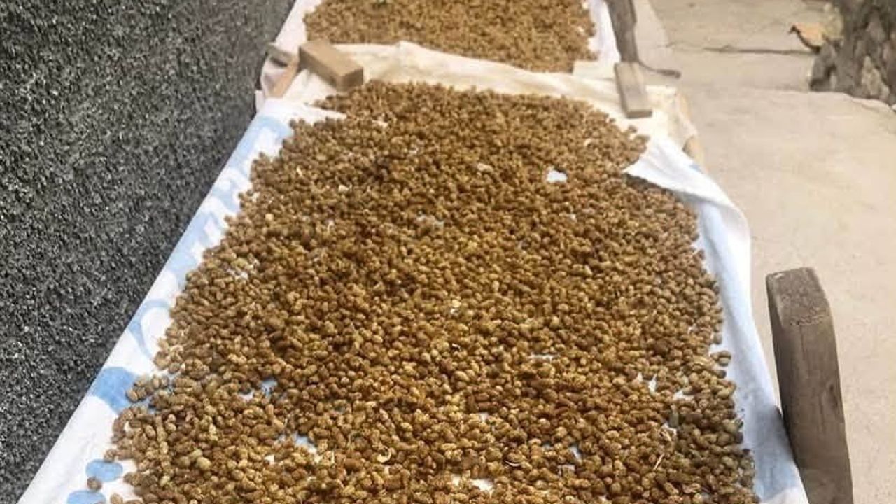 Onar Mahallesi'nde atadan kalan dut pekmezi geleneğini sürdüren 85 yaşındaki çift
