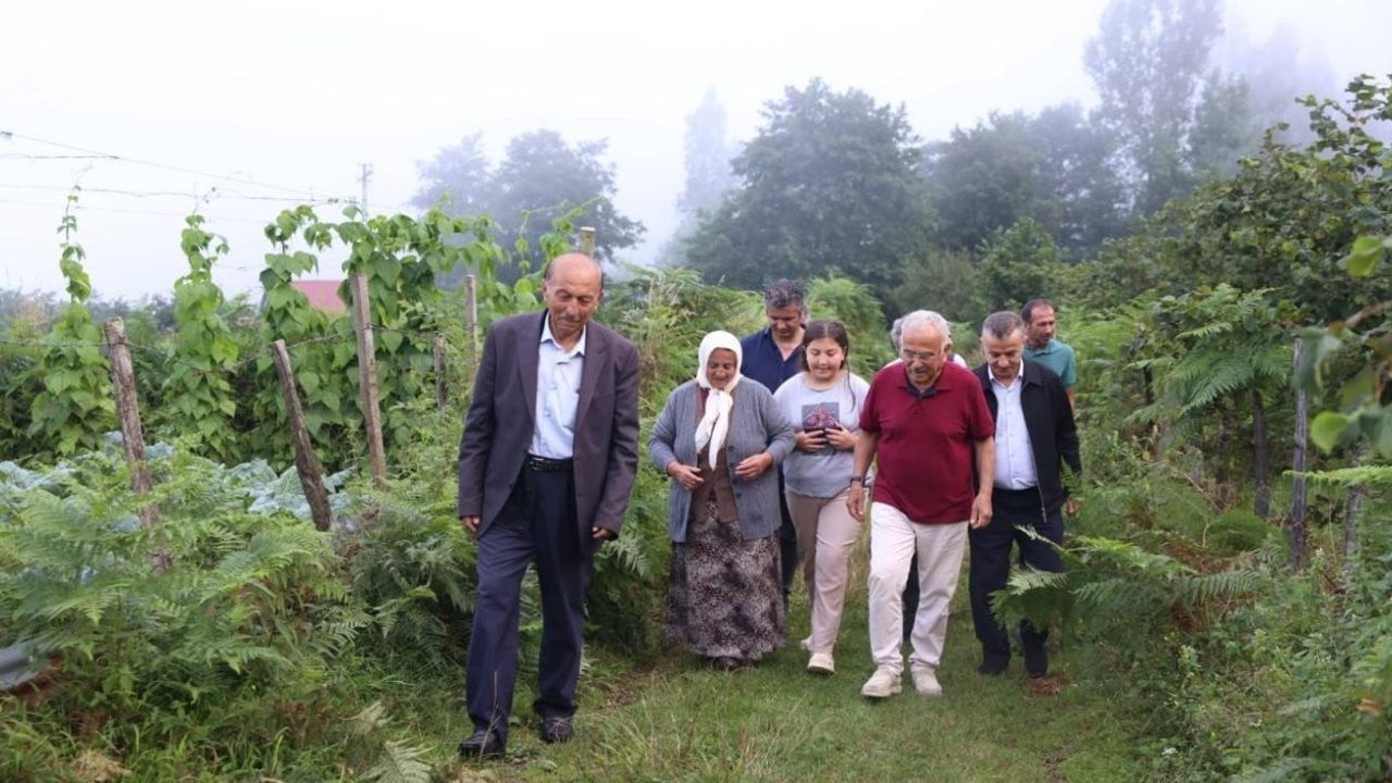 Ordu'da mavi yemiş ve çoban fasulyesine alım garantisiyle yeni gelir kapısı