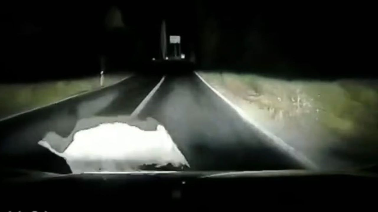 Orhangazi yolunda aniden yola fırlayan domuza çarpan otomobilin anı araç kamerasında