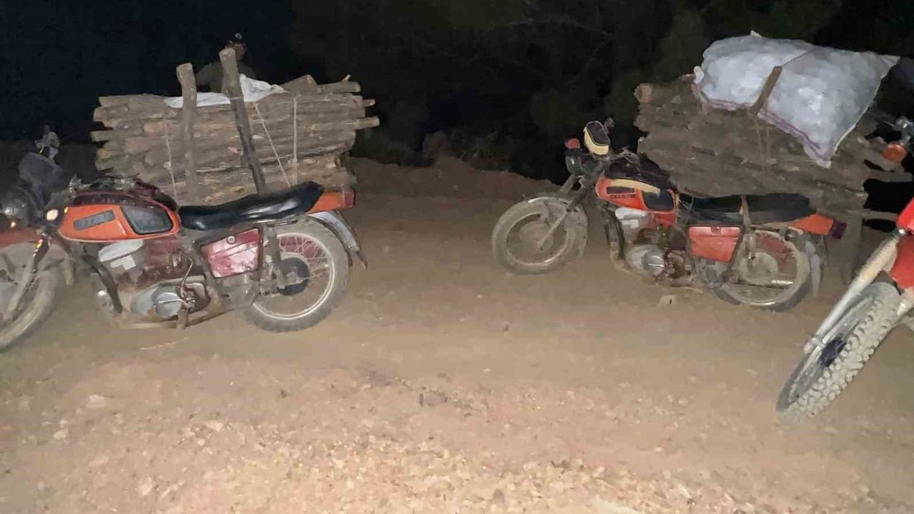 Ormanda izinsiz kesime operasyon: Hassa'da zanlılar yakalandı