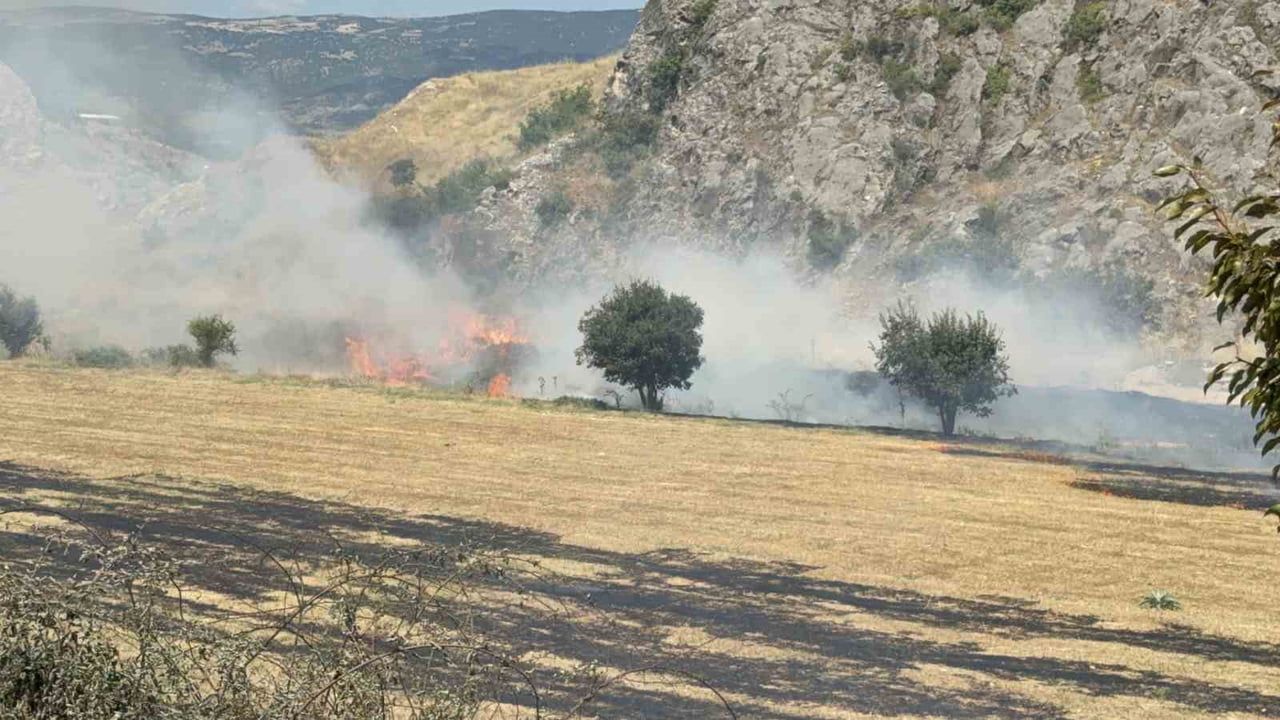 Otluk alandaki yangın Soğucak Bağları'nda hızla söndürüldü