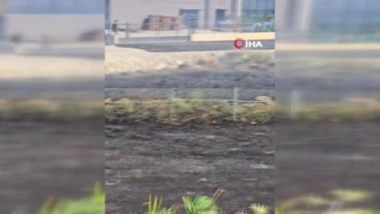 Otoban kenarındaki arazide alevlere müdahale: Karacabey'de yangın söndürüldü