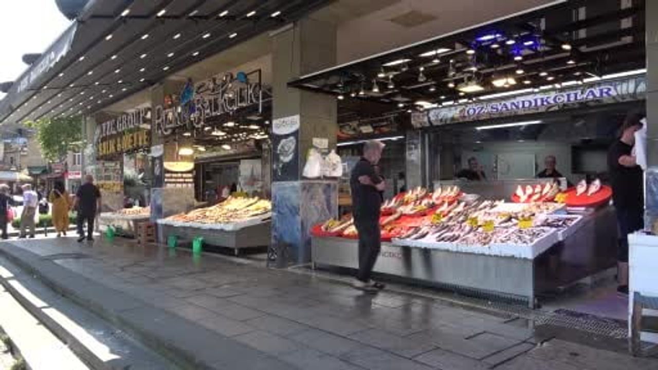 Palamutla gelen umut: kıyıda bereket işaretleri