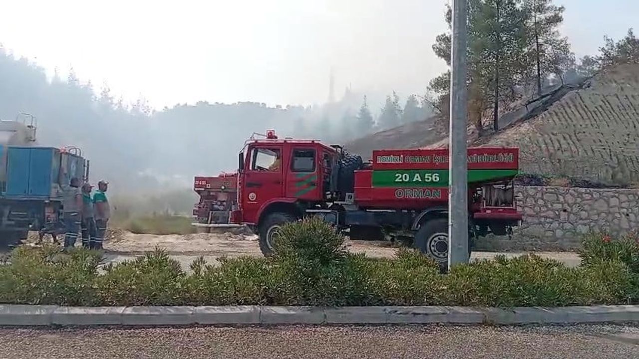 Pamukkale'de TOKİ yakınındaki orman yangını hızlı müdahale sayesinde kontrol altına alındı