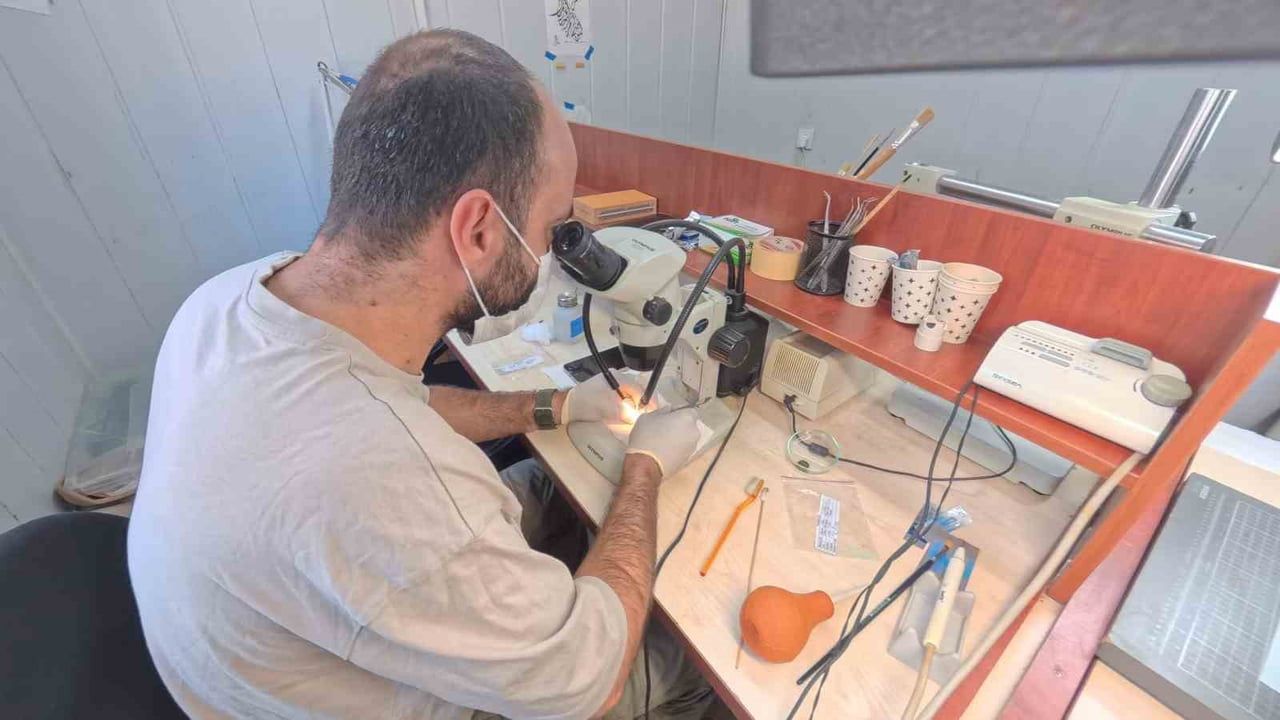 Parion'da kazı sezonu başladı: agora ve güney nekropolü kentin erken dönemini aydınlatıyor