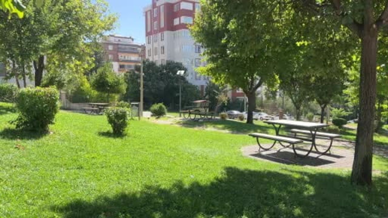 Parkın yeni komşuları: Kahramanmaraş Hürriyet Parkı'nda karga yoğunluğu