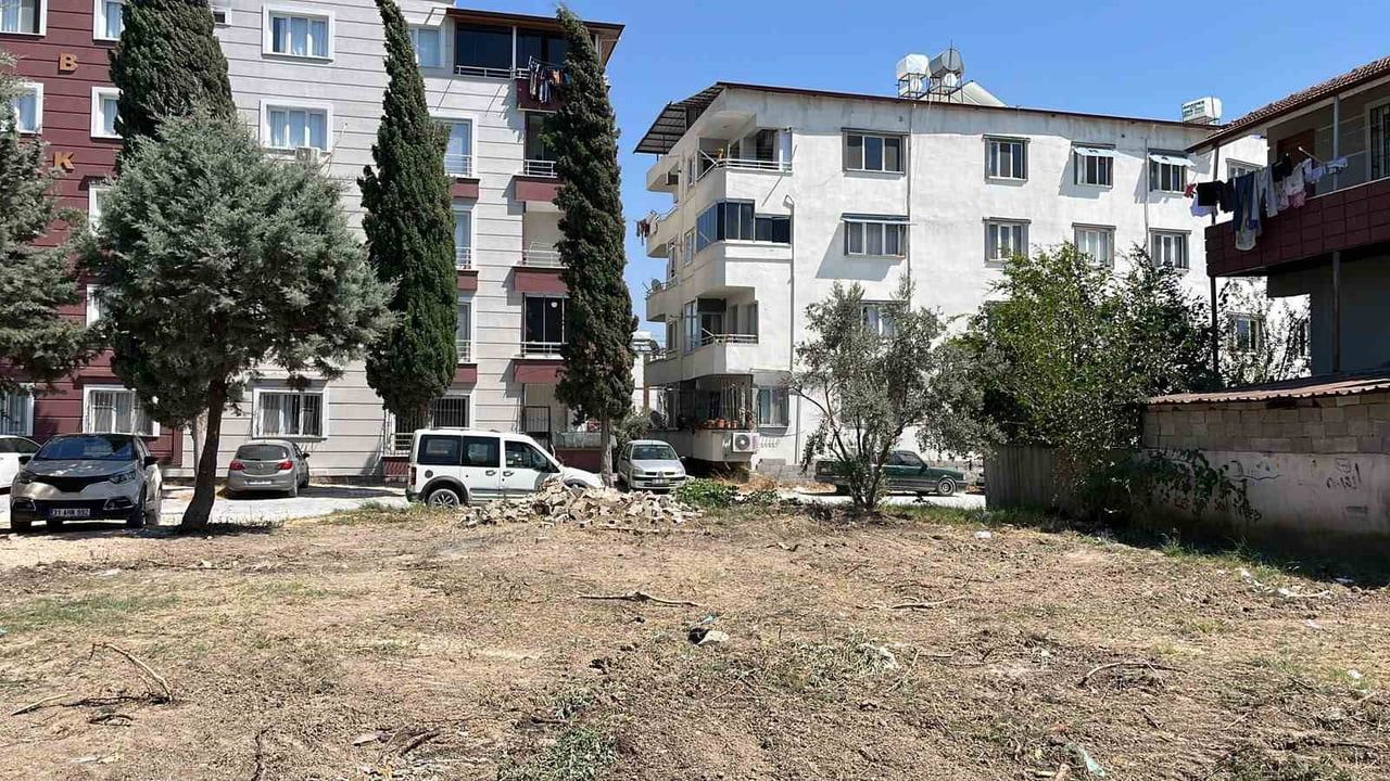 Parktaki 8 çam ağacının sökülmesi mahallede tepkilere yol açtı