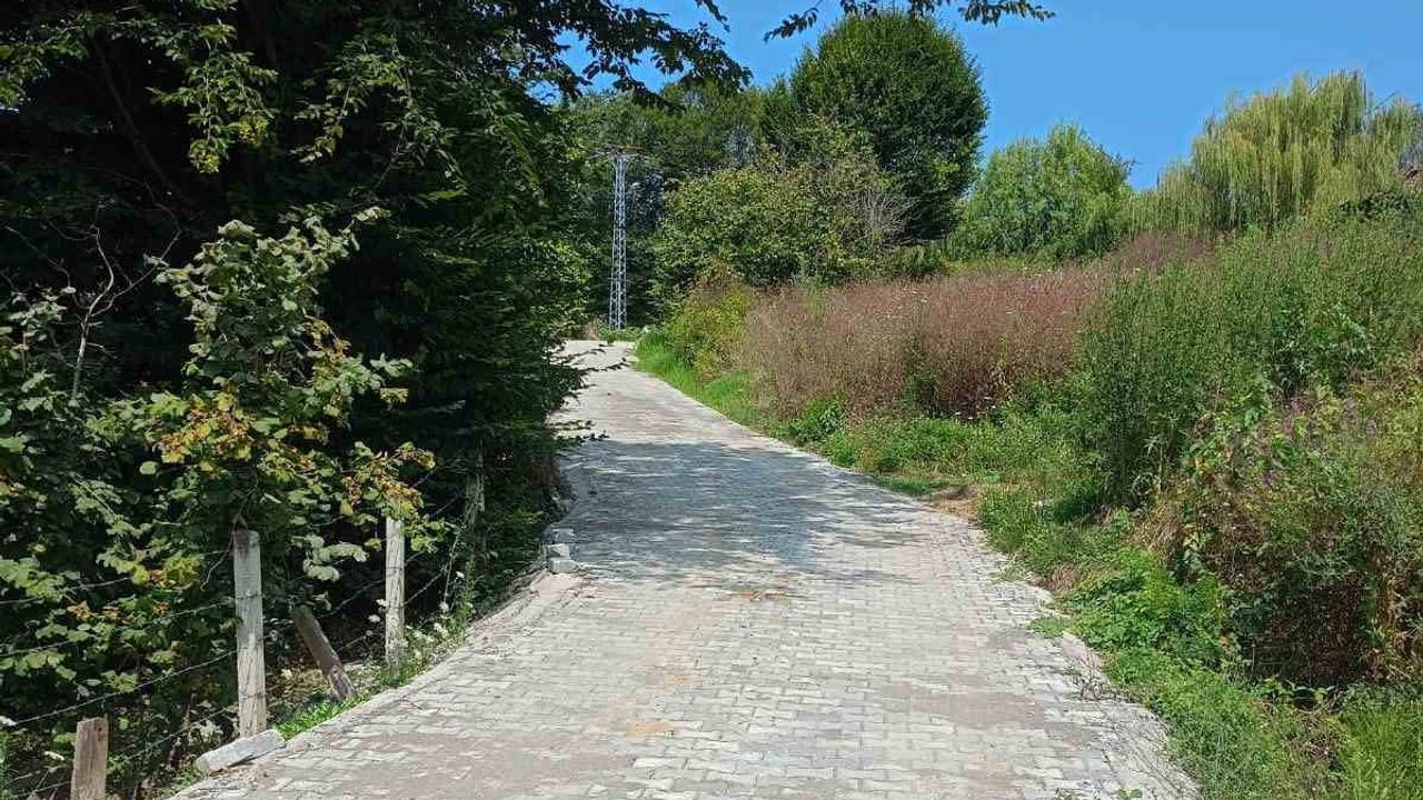 Paşalar Köyü'nde kilit parke döşeme çalışmaları sürüyor