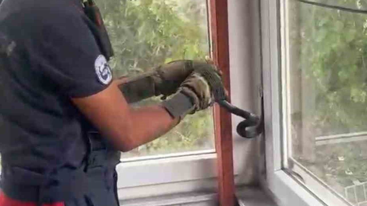 pencerede mahsur kalan yılan itfaiye tarafından kurtarıldı