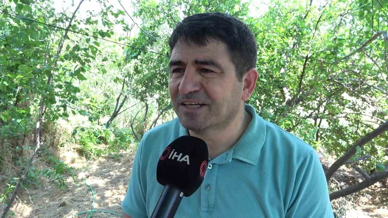 peteklere siyaset dokundu: amblemli balın sembolik yarışı sona erdi