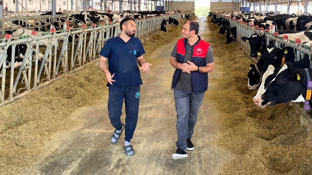 Pınarhisar'da işletmeyi sevince boğan üçüz doğum