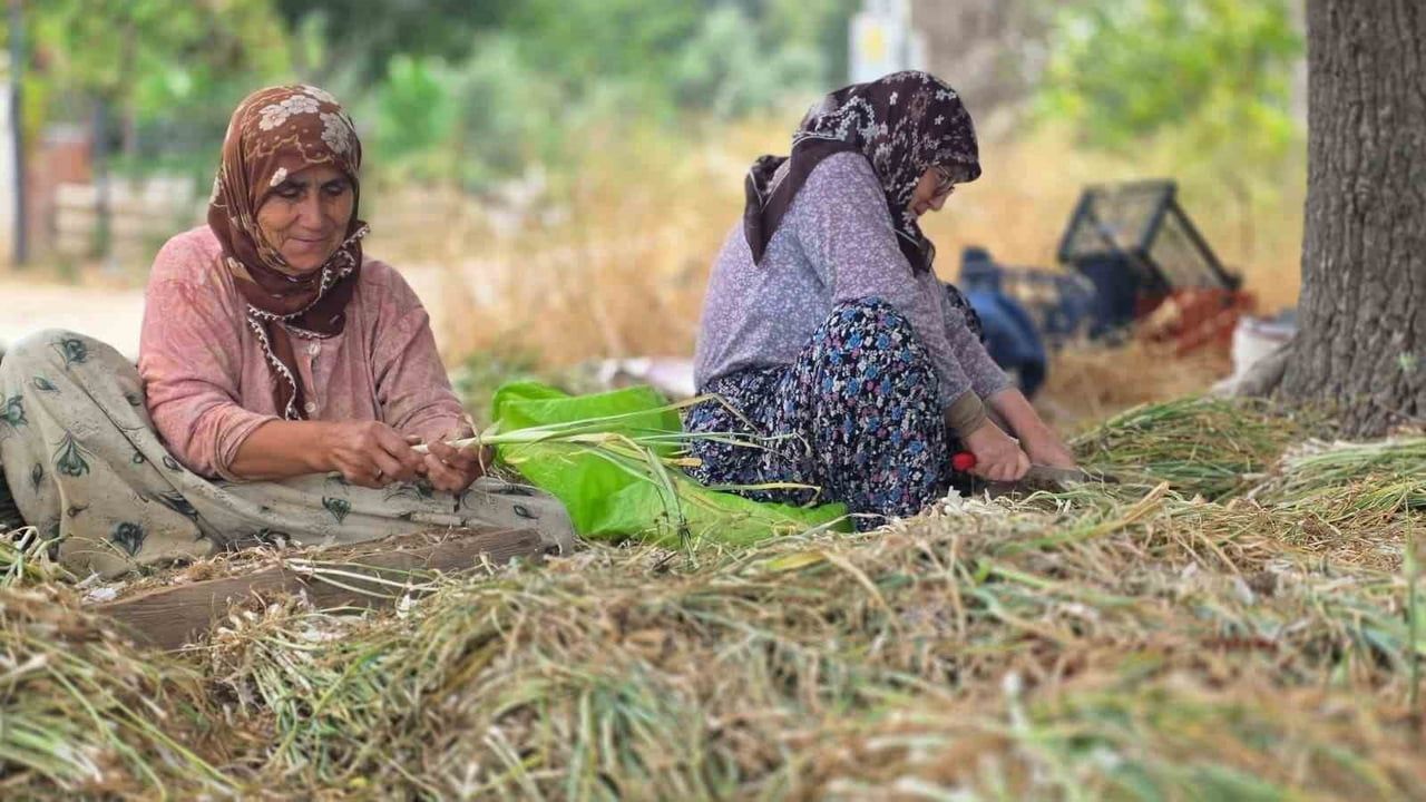 Pırasanın Bandırma rotası: kırsalda üretim mesaisi sürüyor