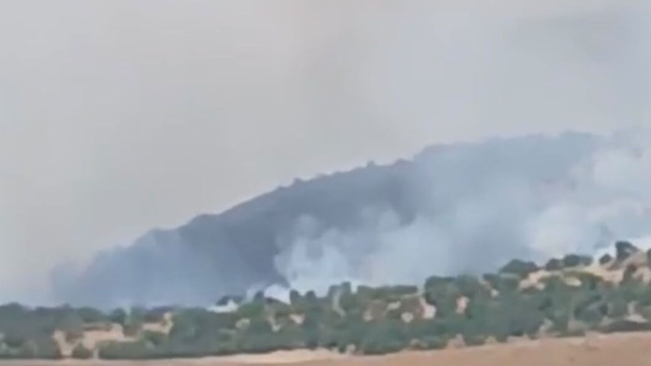 Pütürge Aktarla'da orman ve örtü yangını, ekipler müdahale ediyor