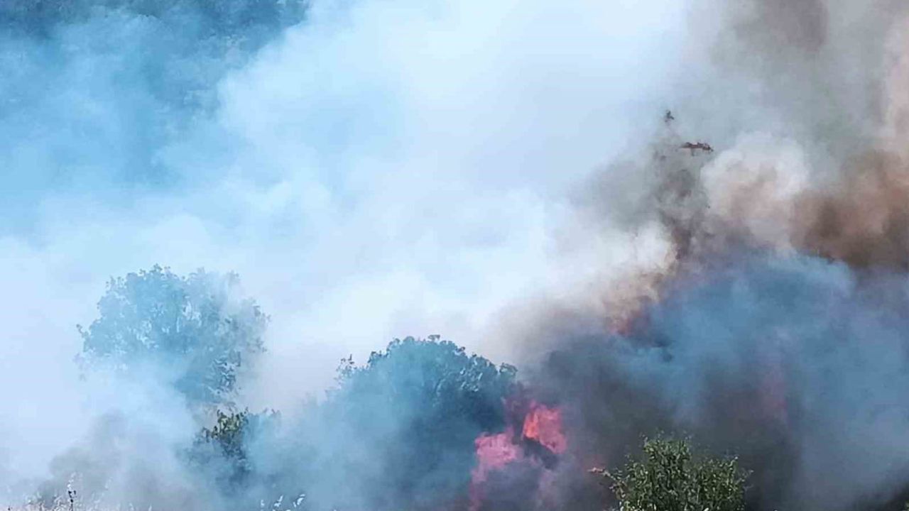 Pütürge Aktarla'da orman yangınına havadan ve karadan müdahale