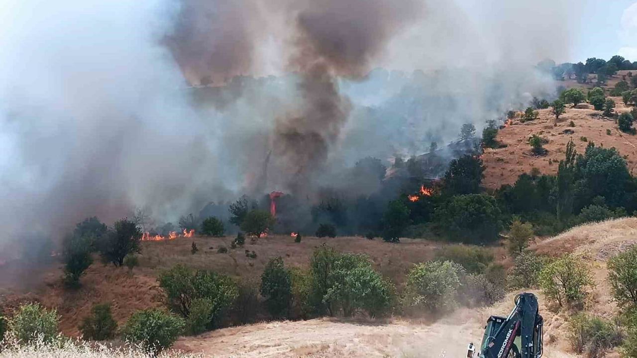 Pütürge'de hızlı müdahale ile yangın büyümeden kontrol altına alındı