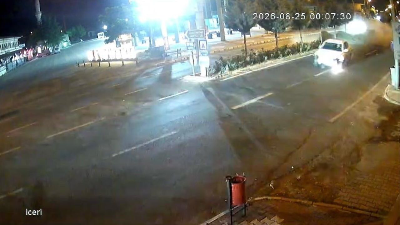 Refüjde çamları devirdi, yakıt yüklü tırın önünden son anda geçti