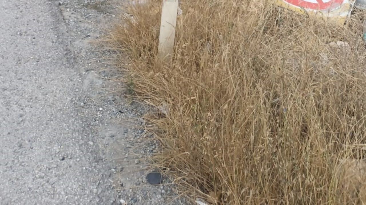 Refüje devrilen otomobilde iki kişi yaralandı: sürücü yara almadan kurtuldu