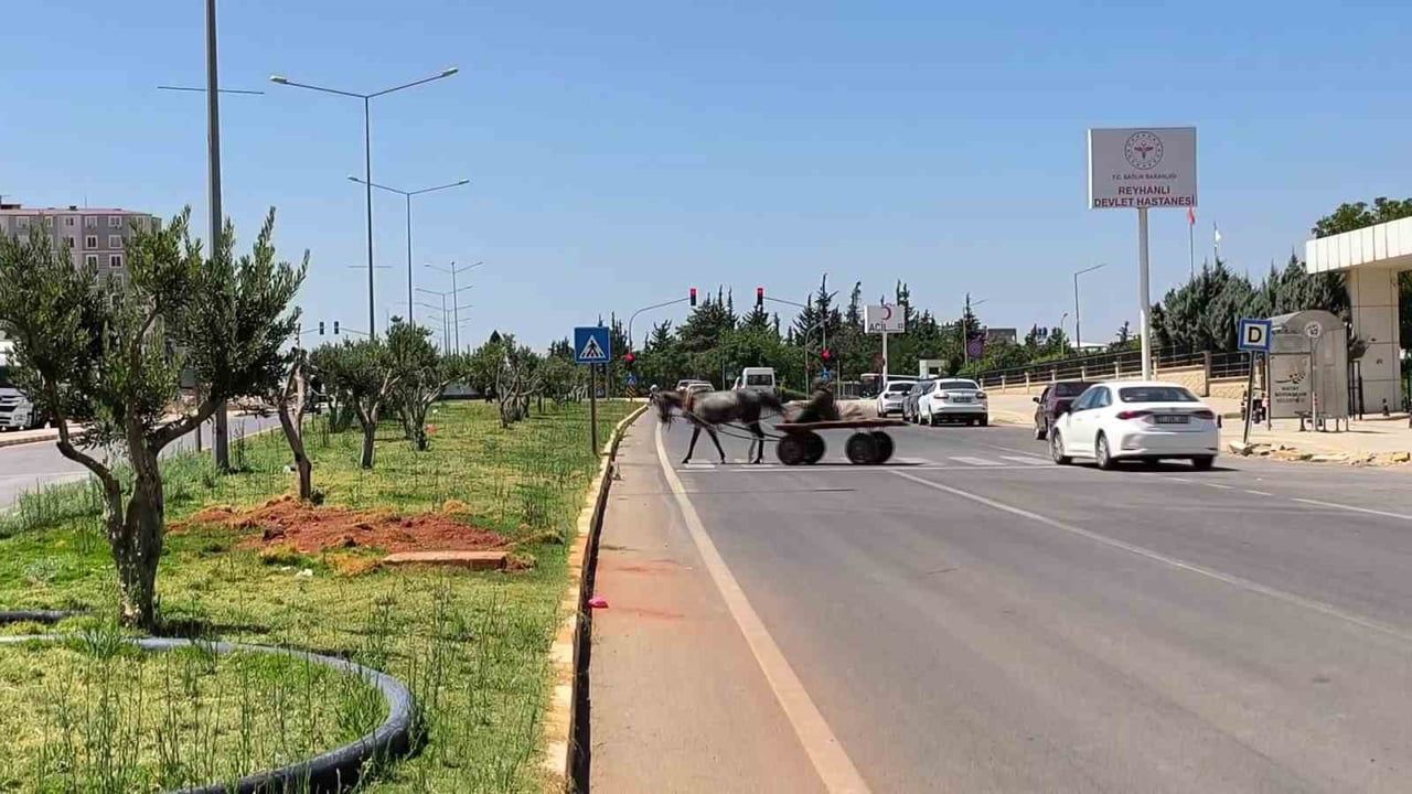 Reyhanlı'da yolun karşısına geçerken çarpılan kadın hayatını kaybetti