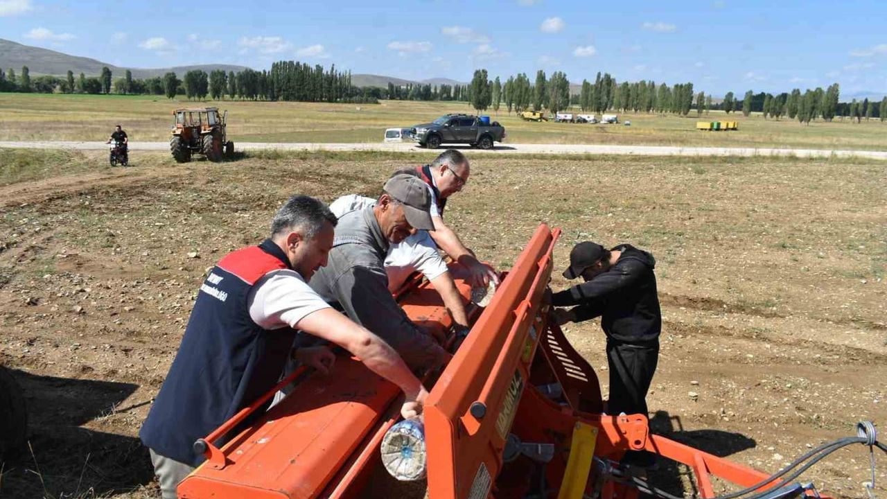Rüştü'de 50 dekarlık korunga tarlasıyla suni mera kuruldu