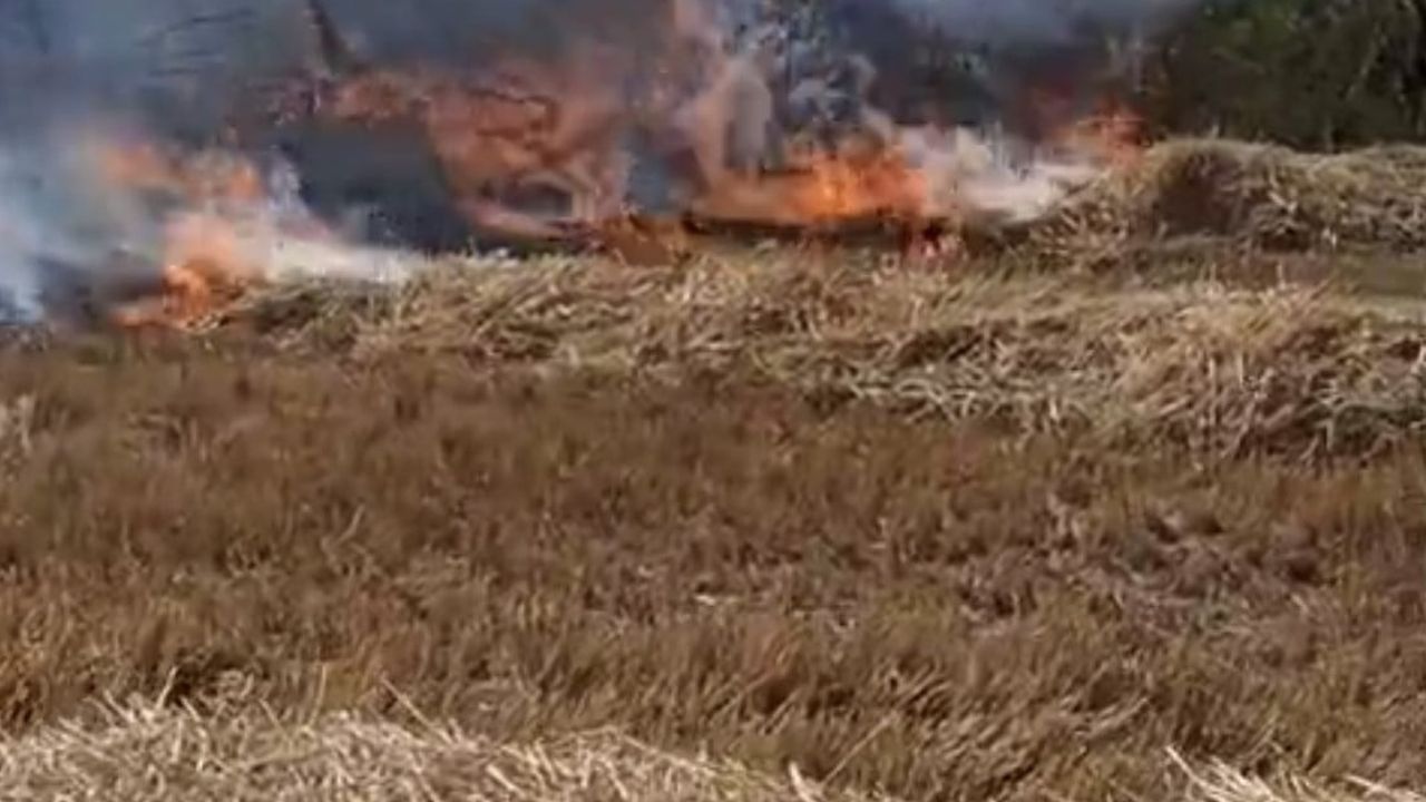 Rüzgarın taşıdığı alevler göl kıyısından ormana ulaştı