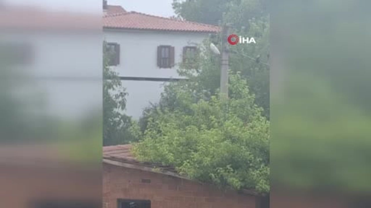 Safranbolu'da bahçede kaydedilen karganın 'Allah' dediği anlar