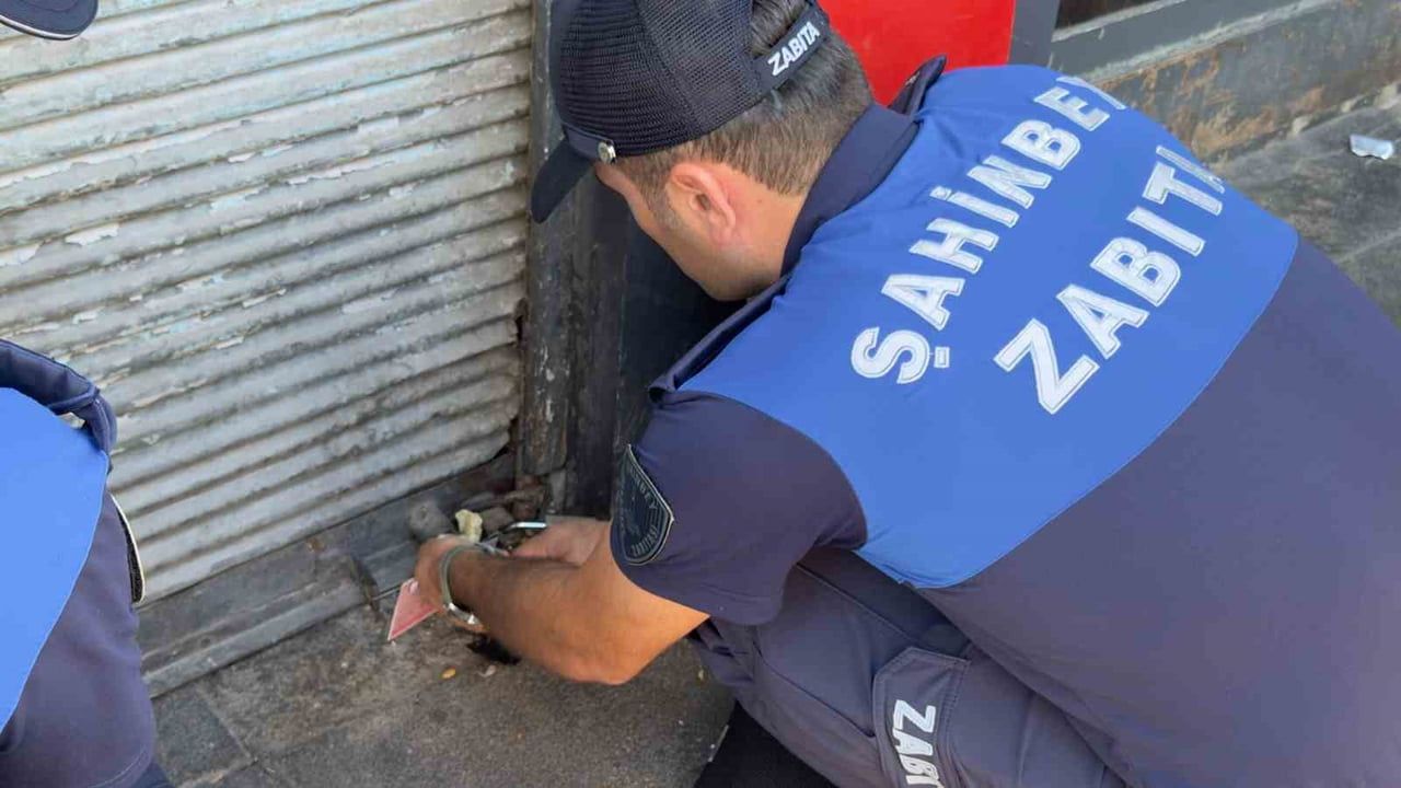 Şahinbey’de tarih silip satan iş yerine sıkı önlem: ürünler imha edildi