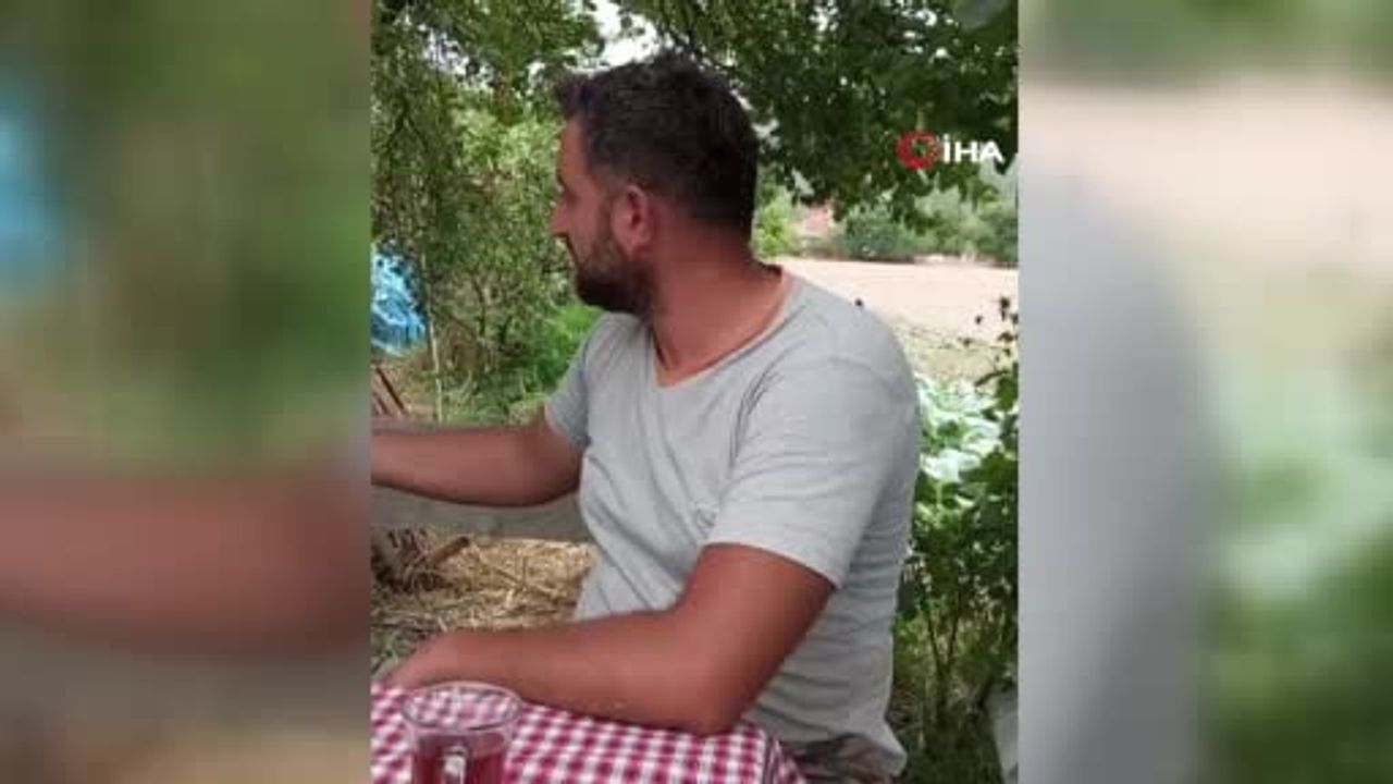 Saksağan Perişan çiftçinin omzundan ayrılmıyor