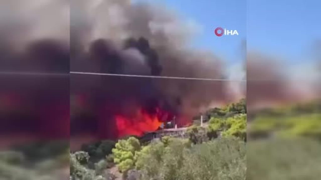 Salamina adasında yangın can aldı: yaşlı çift yaşamını yitirdi, yüzlerce kişi tahliye edildi